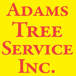 $25 OFF $300 or More ANY TREE SERVICE-logo