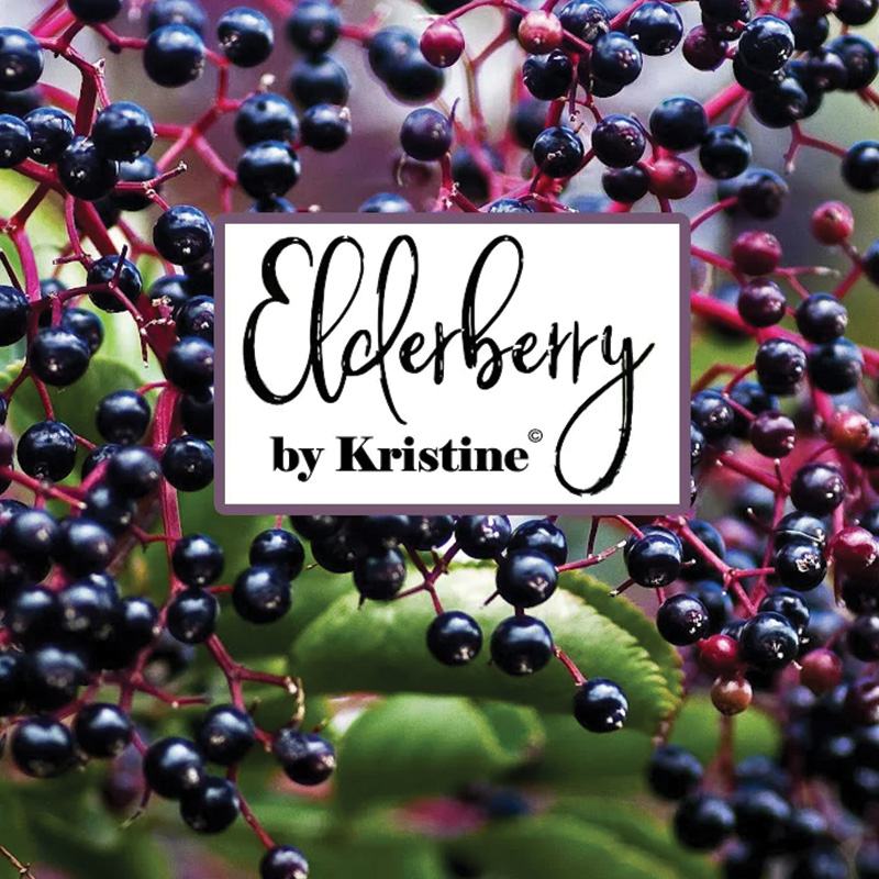 Elderberry by Kristine-logo
