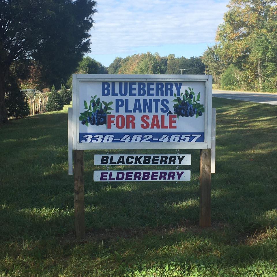 Joyner Blueberry Farm Logo