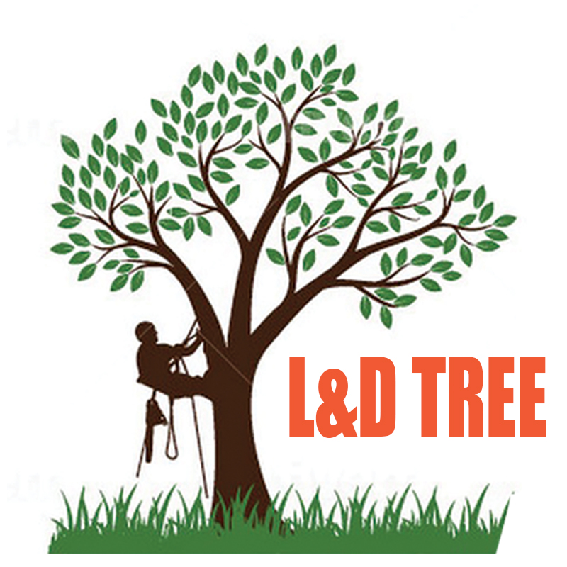 L&D TREE-logo
